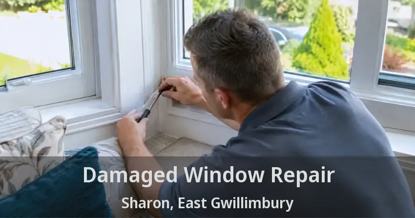 Damaged Window Repair Sharon, East Gwillimbury - ON