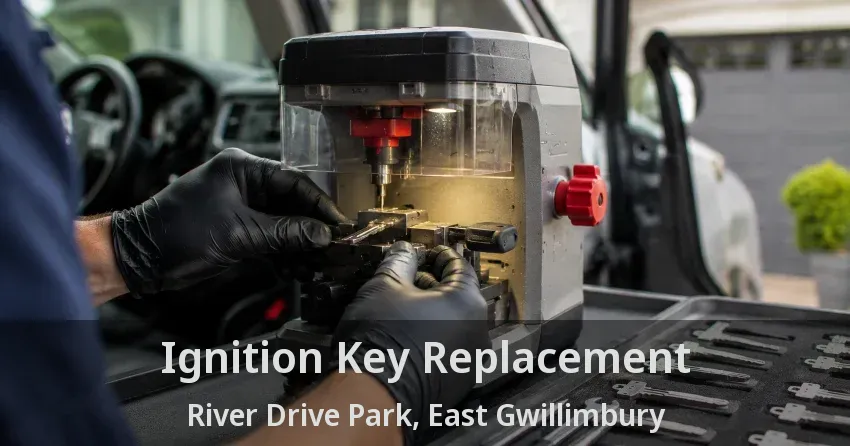 Ignition Key Replacement River Drive Park, East Gwillimbury - ON