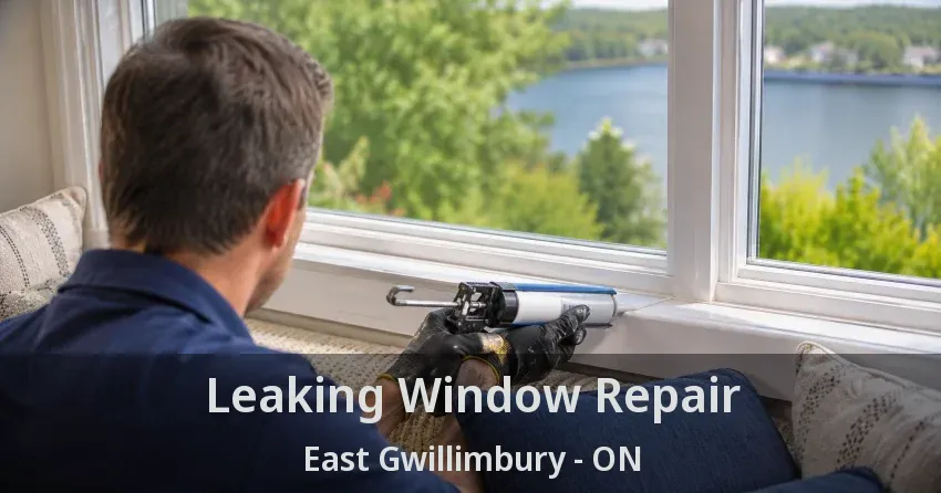 Leaking Window Repair East Gwillimbury - ON